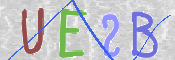 画像に表示された文字を入力して下さい