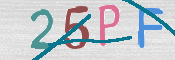 画像に表示された文字を入力して下さい