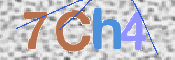 画像に表示された文字を入力して下さい