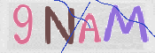 画像に表示された文字を入力して下さい