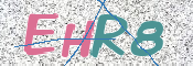 画像に表示された文字を入力して下さい