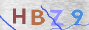 画像に表示された文字を入力して下さい
