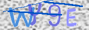 画像に表示された文字を入力して下さい