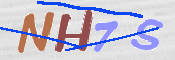 画像に表示された文字を入力して下さい