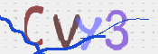 画像に表示された文字を入力して下さい