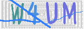 画像に表示された文字を入力して下さい
