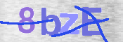 画像に表示された文字を入力して下さい