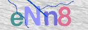 画像に表示された文字を入力して下さい