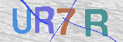 画像に表示された文字を入力して下さい