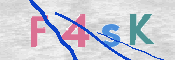 画像に表示された文字を入力して下さい