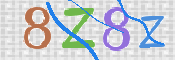 画像に表示された文字を入力して下さい