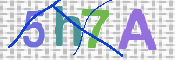 画像に表示された文字を入力して下さい