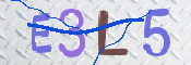 画像に表示された文字を入力して下さい