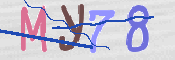 画像に表示された文字を入力して下さい