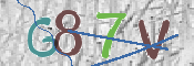 画像に表示された文字を入力して下さい