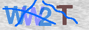 画像に表示された文字を入力して下さい