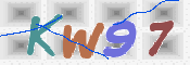 画像に表示された文字を入力して下さい