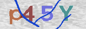 画像に表示された文字を入力して下さい