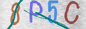画像に表示された文字を入力して下さい