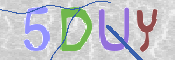 画像に表示された文字を入力して下さい