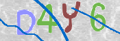 画像に表示された文字を入力して下さい