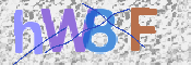 画像に表示された文字を入力して下さい