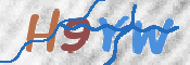 画像に表示された文字を入力して下さい