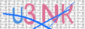 画像に表示された文字を入力して下さい