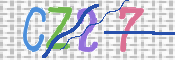 画像に表示された文字を入力して下さい
