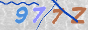 画像に表示された文字を入力して下さい