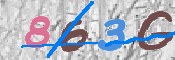 画像に表示された文字を入力して下さい