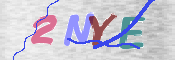 画像に表示された文字を入力して下さい