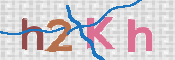 画像に表示された文字を入力して下さい
