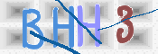 画像に表示された文字を入力して下さい