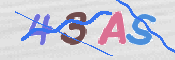 画像に表示された文字を入力して下さい