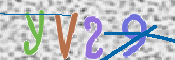 画像に表示された文字を入力して下さい