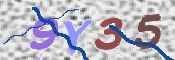 画像に表示された文字を入力して下さい