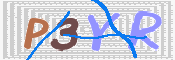画像に表示された文字を入力して下さい