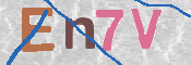 画像に表示された文字を入力して下さい