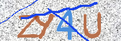 画像に表示された文字を入力して下さい