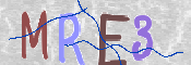 画像に表示された文字を入力して下さい