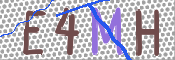 画像に表示された文字を入力して下さい