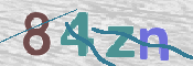 画像に表示された文字を入力して下さい