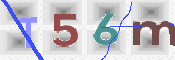 画像に表示された文字を入力して下さい