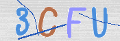 画像に表示された文字を入力して下さい