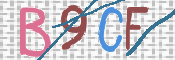 画像に表示された文字を入力して下さい