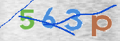 画像に表示された文字を入力して下さい