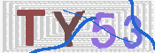 画像に表示された文字を入力して下さい
