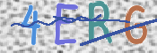 画像に表示された文字を入力して下さい