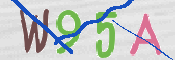 画像に表示された文字を入力して下さい